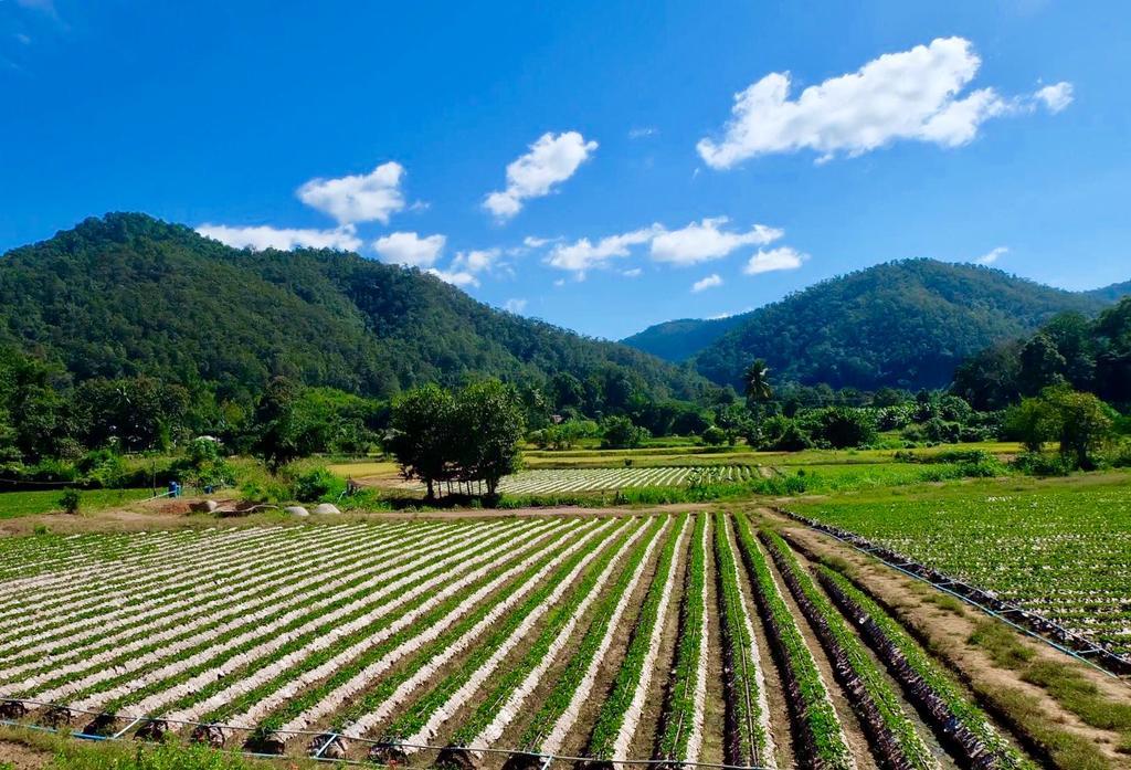 沙蒙Wongwan Farm别墅 外观 照片